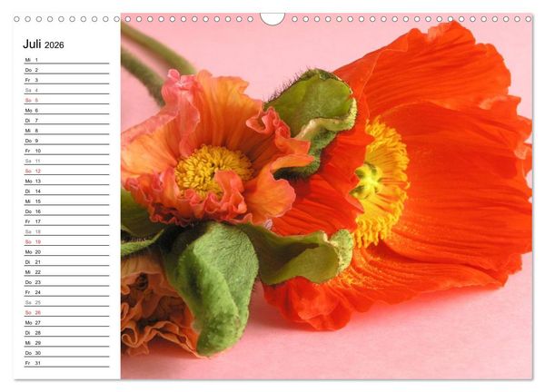 Produktbild: Mohn im Portr&auml;t (Wandkalender 2026 DIN A3 quer), CALVENDO Monatskalender