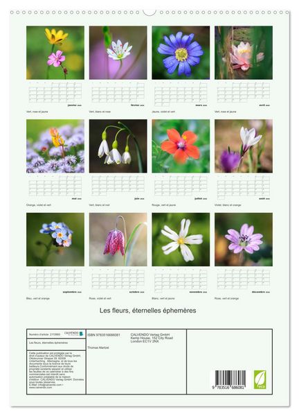 Produktbild: Les fleurs, &eacute;ternelles &eacute;phem&egrave;res (Calendrier mural 2026 DIN A2 horizontal) calendrier de bureau