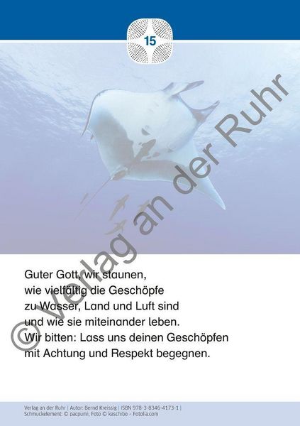 Produktbild: Staunen &uuml;ber die Sch&ouml;pfung &ndash; 40 Gebetskarten mit Naturfotografien