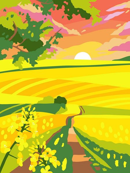 Produktbild: Colorful Surprise - Blumen