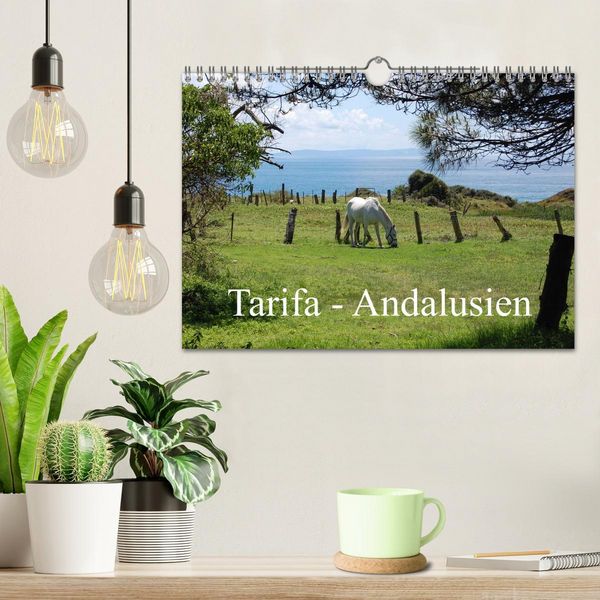 Produktbild: Tarifa - Andalusien (Wandkalender 2026 DIN A4 quer), CALVENDO Monatskalender