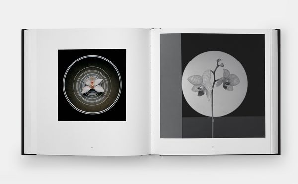 Produktbild: Mapplethorpe Flora: The Complete Flowers (2024)