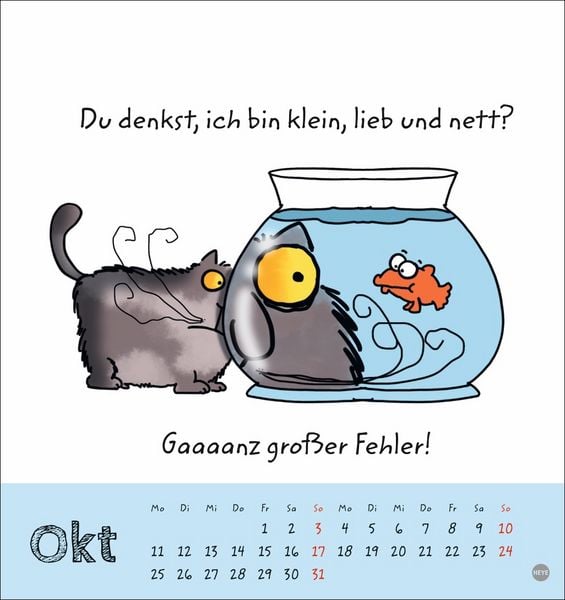 Produktbild: Catzz Postkartenkalender 2027