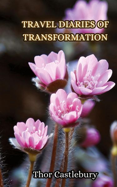 Produktbild: Travel Diaries of Transformation