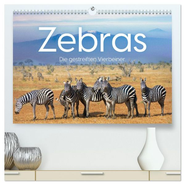 Zebras - Die gestreiften Vierbeiner. (hochwertiger Premium Wandkalender 2026 DIN A2 quer), Kunstdruck in Hochglanz
