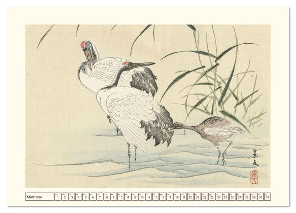 Produktbild: Bl&uuml;te und Feder (Wandkalender 2026 DIN A2 quer), CALVENDO Monatskalender