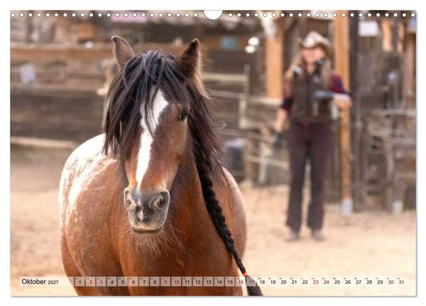 Produktbild: Colorful Horse Ranch &ndash; Wo Tinker posen und Ponys l&auml;cheln (Wandkalender 2027 DIN A3 quer), CALVENDO Monatskalender