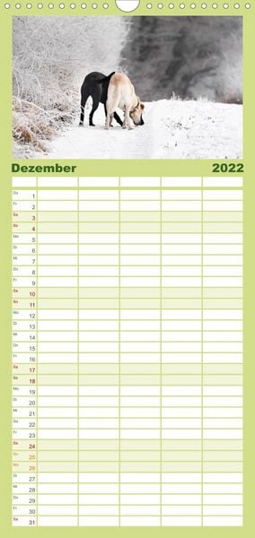 Produktbild: Familienplaner Labrador Trio - 3 Farben, 3 Freunde (Wandkalender 2022 , 21 cm x 45 cm, hoch)