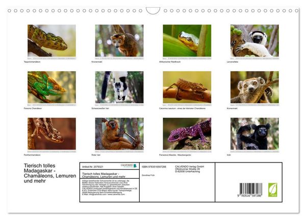 Produktbild: Tierisch tolles Madagaskar - Cham&auml;leons, Lemuren und mehr (Wandkalender 2026 DIN A3 quer), CALVENDO Monatskalender