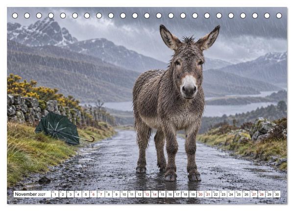 Produktbild: NICHT MEIN PROBLEM - Tiere mit Charakter (Tischkalender 2027 DIN A5 quer), CALVENDO Monatskalender
