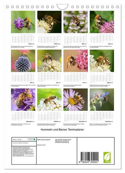 Produktbild: Hummeln und Bienen Terminplaner (Wandkalender 2026 DIN A4 hoch), CALVENDO Monatskalender