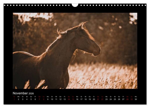 Produktbild: Die Faszinierende Welt der Pferde (Wandkalender 2026 DIN A3 quer), CALVENDO Monatskalender
