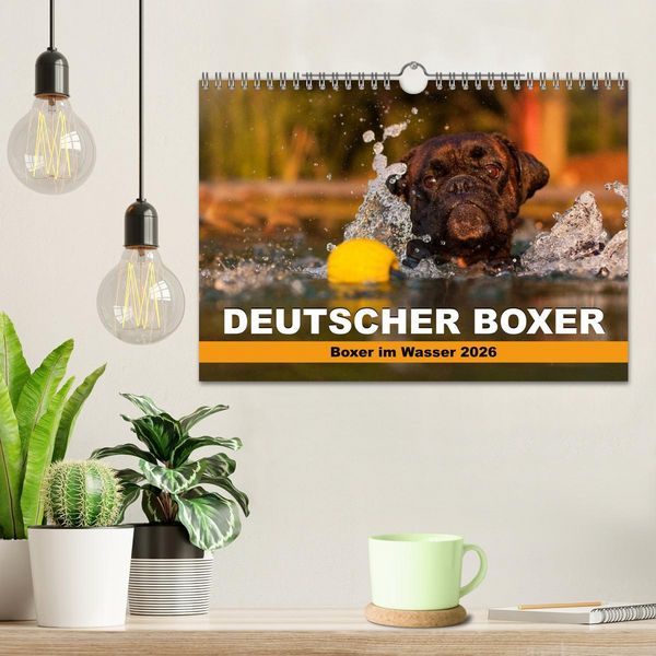 Produktbild: Deutscher Boxer - Boxer im Wasser 2026 (Wandkalender 2026 DIN A4 quer), CALVENDO Monatskalender