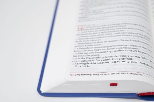 Produktbild: Die Bibel. Taschenausgabe Leder rustique mit Rei&szlig;verschluss