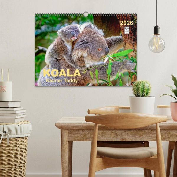 Produktbild: Koala - kleiner Teddy (Wandkalender 2026 DIN A3 quer), CALVENDO Monatskalender