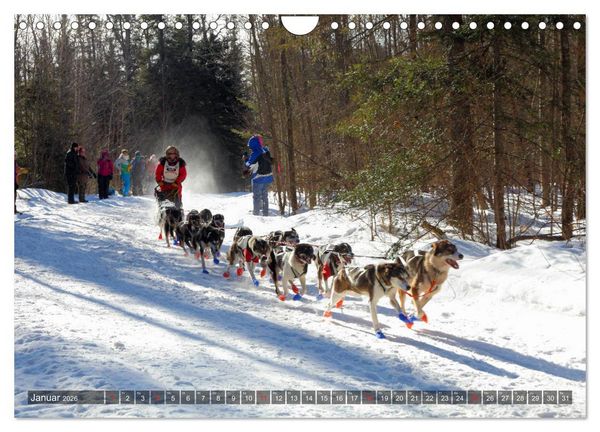 Produktbild: Great Lakes - Die gro&szlig;en Seen (Wandkalender 2026 DIN A4 quer), CALVENDO Monatskalender