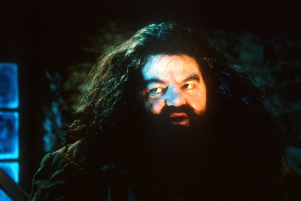 Harry Potter und der Stein der Weisen - Jubiläums-Edition - Magical Movie Modus  [2 BRs]