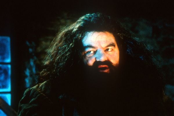 Produktbild: Harry Potter und der Stein der Weisen - Jubiläums-Edition - Magical Movie Modus  [2 BRs]