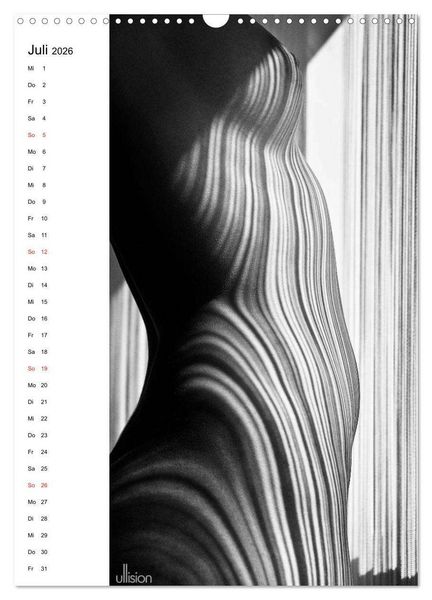 Produktbild: Akt abstrakt (Wandkalender 2026 DIN A3 hoch), CALVENDO Monatskalender