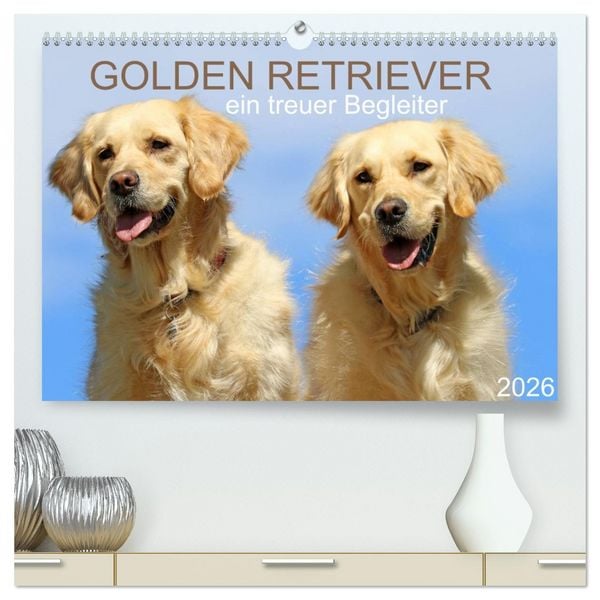 Produktbild: Golden Retriever ein treuer Begleiter (hochwertiger Premium Wandkalender 2026 DIN A2 quer), Kunstdruck in Hochglanz