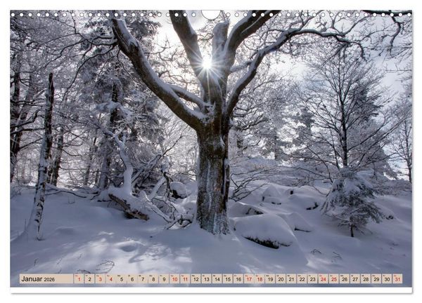 Produktbild: Vogesen - wundersch&ouml;n (Wandkalender 2026 DIN A3 quer), CALVENDO Monatskalender