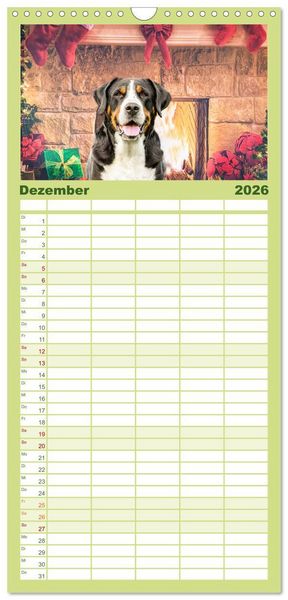 Produktbild: Familienplaner 2026 - Gro&szlig;e Schweizer - Gigantische Sennenhunde mit 5 Spalten (Wandkalender, 21 x 45 cm) CALVENDO