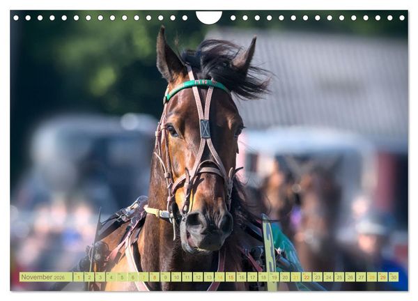 Produktbild: Rennpferde - Gesichter erz&auml;hlen (Wandkalender 2026 DIN A4 quer), CALVENDO Monatskalender