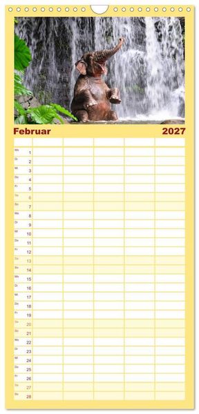 Produktbild: Familienplaner 2027 - Elefanten. Spa&szlig; am Wasser mit 5 Spalten (Wandkalender, 21 x 45 cm) CALVENDO