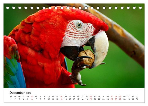 Produktbild: Papageien. Knallbunte Aras und Co. (Tischkalender 2026 DIN A5 quer), CALVENDO Monatskalender
