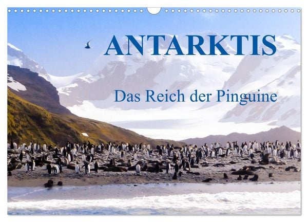 Produktbild: Antarktis - Das Reich der Pinguine (Wandkalender 2026 DIN A3 quer), CALVENDO Monatskalender