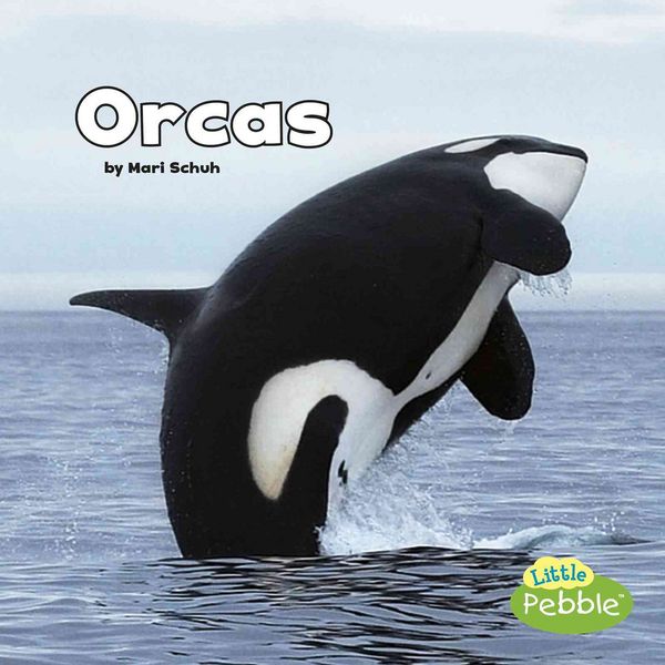 Produktbild: Orcas