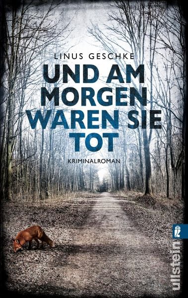 Produktbild: Und am Morgen waren sie tot / Jan R&ouml;mer Band 2