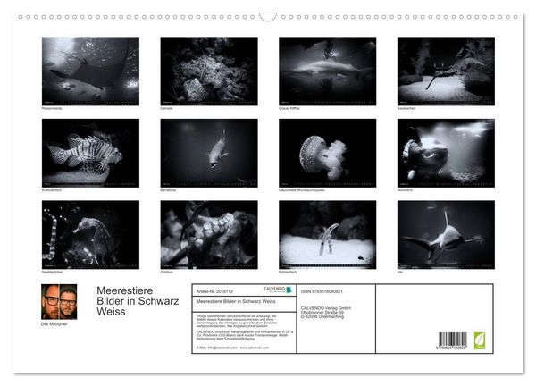 Produktbild: Meerestiere Bilder in Schwarz Weiss (Wandkalender 2026 DIN A2 quer), CALVENDO Monatskalender