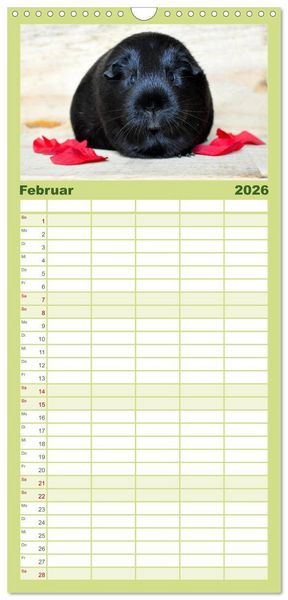 Produktbild: Familienplaner 2026 - Meerschweinchen Niedliche Herzensbrecher mit 5 Spalten (Wandkalender, 21 x 45 cm) CALVENDO