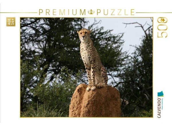 CALVENDO Puzzle Geparden - Beobachtungsposten | 500 Teile Lege-Größe 48 × 36 cm Foto-Puzzle für Erwachsene