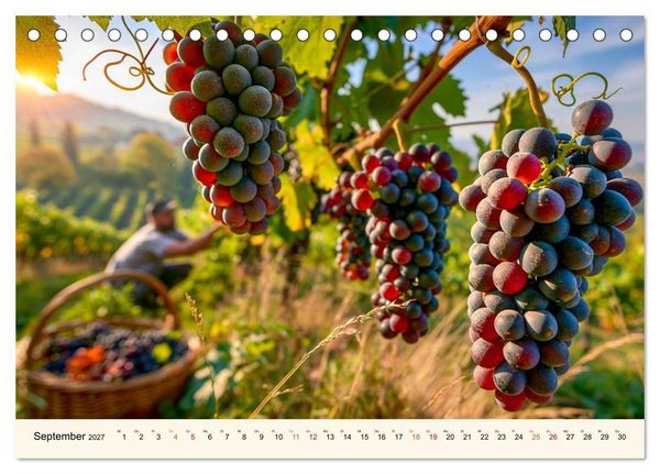 Produktbild: Wein - Tradition &middot; Kellerkunst &middot; Herkunft (Tischkalender 2027 DIN A5 quer), CALVENDO Monatskalender