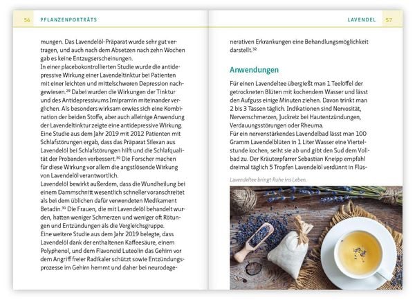 Produktbild: Heilsame K&uuml;chenkr&auml;uter