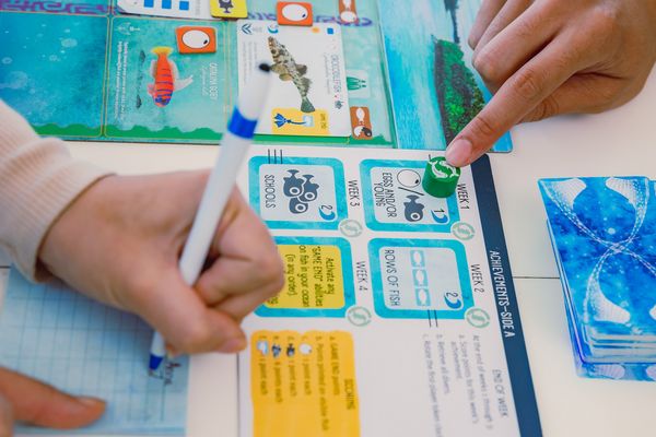 Produktbild: Stonemaier Games - Finspan, englische Version