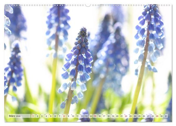 Produktbild: Blumenlust (hochwertiger Premium Wandkalender 2026 DIN A2 quer), Kunstdruck in Hochglanz