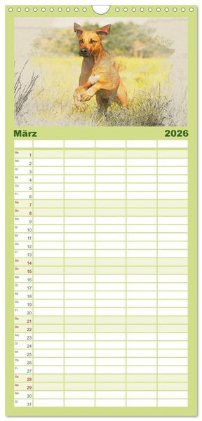 Produktbild: Familienplaner 2026 - Rhodesian Ridgeback 2026 mit 5 Spalten (Wandkalender, 21 x 45 cm) CALVENDO