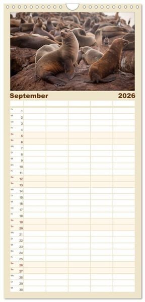 Produktbild: Familienplaner 2026 - Kalifornien USA mit 5 Spalten (Wandkalender, 21 x 45 cm) CALVENDO