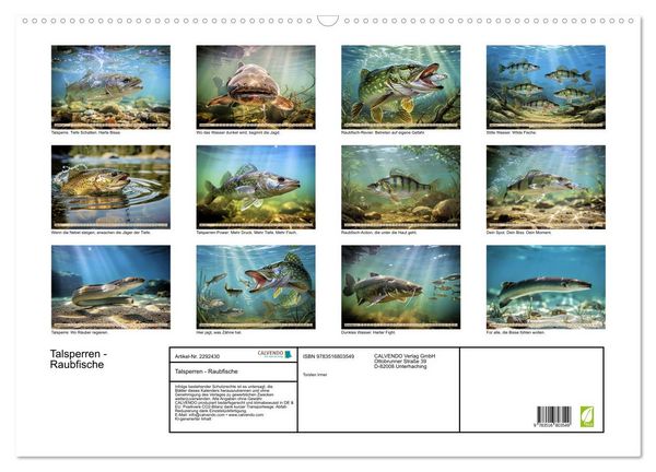 Produktbild: Talsperren - Raubfische (Wandkalender 2027 DIN A2 quer), CALVENDO Monatskalender