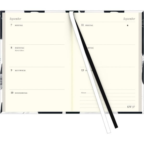 Produktbild: Taschenkalender »Cats« 2026 - Terminplaner mit Wochenkalendarium - Format 11,3 x 16,3 cm