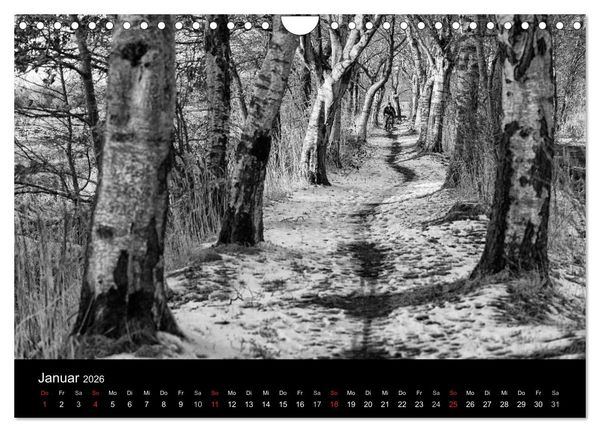 Produktbild: Ost-Friesische Schwarz-Wei&szlig;-Ansichten (Wandkalender 2026 DIN A4 quer), CALVENDO Monatskalender