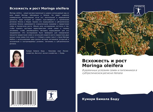 Produktbild: Vshozhest' i rost Moringa oleifera