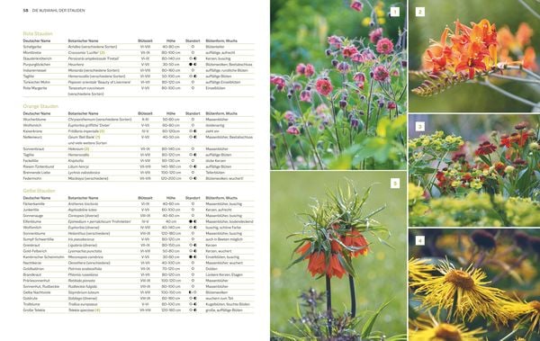 Produktbild: Immerbl&uuml;hende Beete
