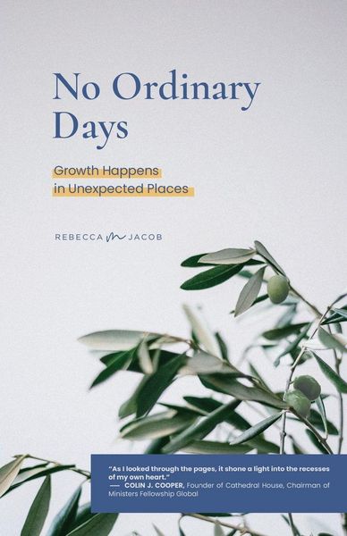 Produktbild: No Ordinary Days