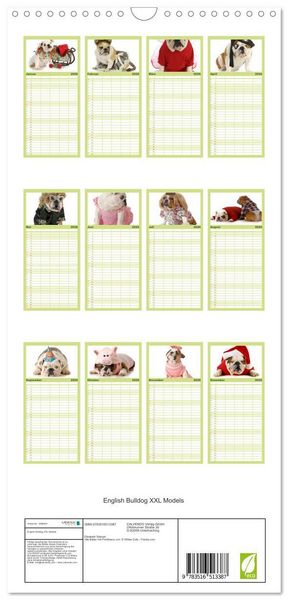 Produktbild: Familienplaner 2026 - English Bulldog XXL Models mit 5 Spalten (Wandkalender, 21 x 45 cm) CALVENDO