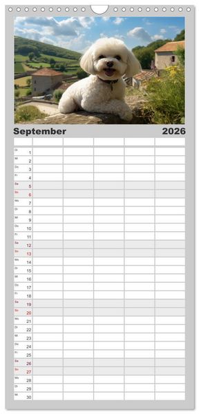 Produktbild: Familienplaner 2026 - Bichon fris&eacute;, wei&szlig;e H&uuml;ndchen mit lockigem Haar mit 5 Spalten (Wandkalender, 21 x 45 cm) CALVENDO