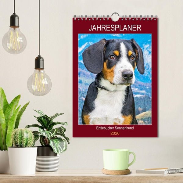 Produktbild: Jahresplaner Entlebucher Sennenhund (Wandkalender 2026 DIN A4 hoch), CALVENDO Monatskalender